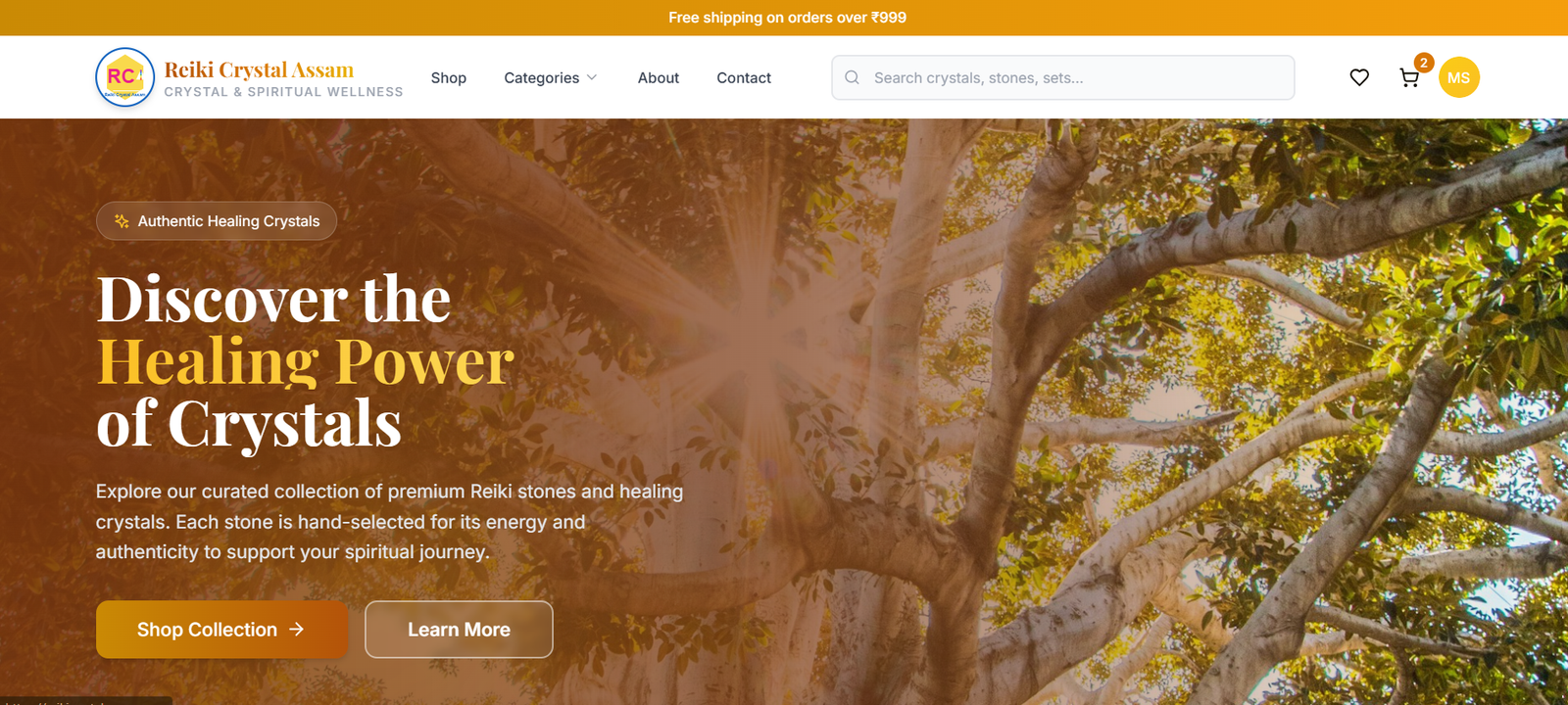 Why Your Guwahati Business Website Needs More Than a GoDaddy Builder
